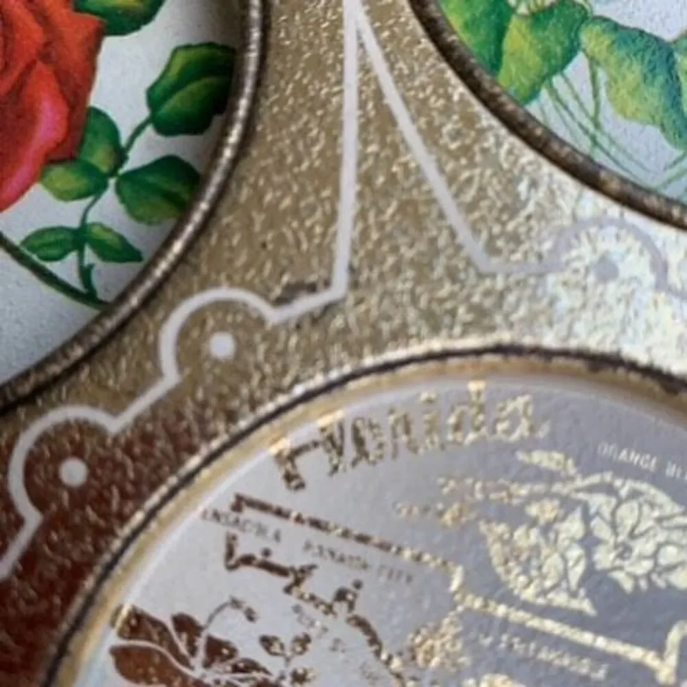 Florida Vintage 11” Souvenir Floral Metal Drink Tray